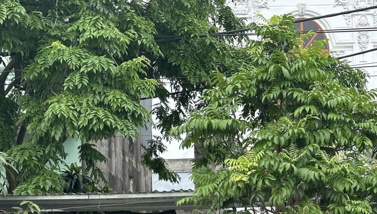 Cc gửi bán lô đất gần 50m2, tk1, mặt đường Nguyễn Anh Trỗi, giáp tt Chúc Sơn, vỉa hè rộng mênh mông, kinh doanh sầm uất, giá nhỉnh 2 tỷ